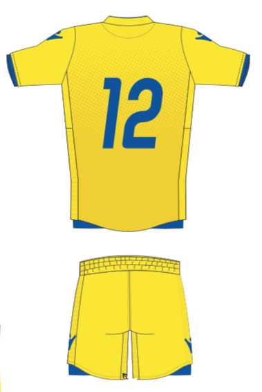 Away Shorts (custom) игровые шорты (индивидуальный пошив)